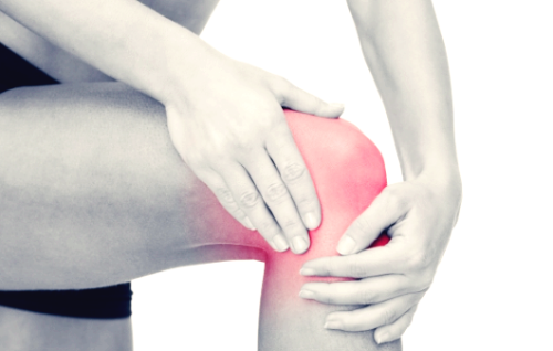 콘드로이친 효능 부작용