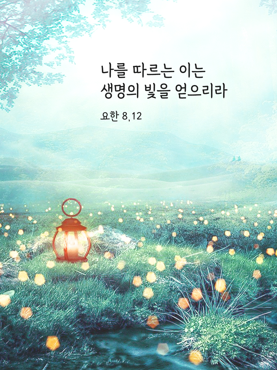 나를 따르는 이는 생명의 빛을 얻으리라. (요한 8,12)