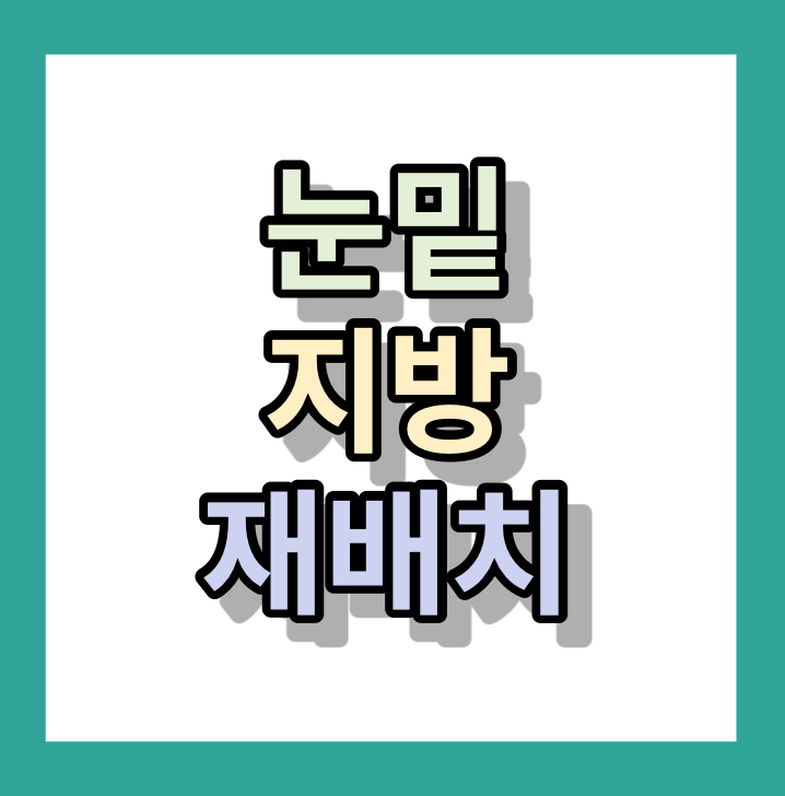눈밑지방 재배치