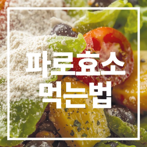 파로효소 먹는법