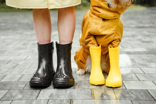 장마철 레인부츠를 신은 사람과 강아지