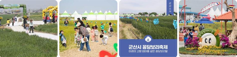 군산보리축제사진