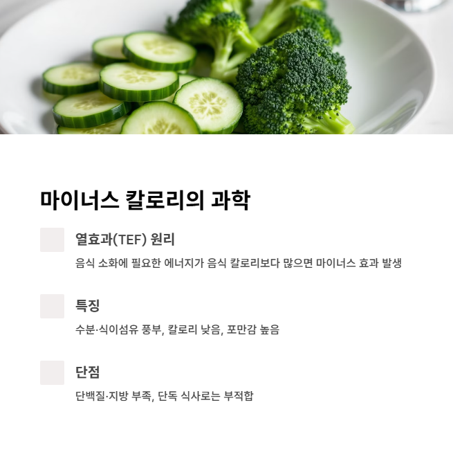 브로콜리와 오이 조합의 저칼로리 한 끼