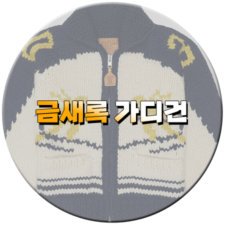 다리미 패밀리 28회 금새록 가디건