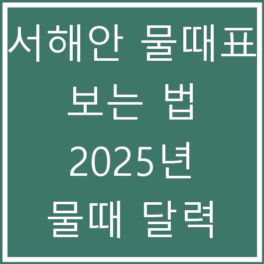 서해안 물때표 보는 법 2025년 물때 달력 확인 사이트