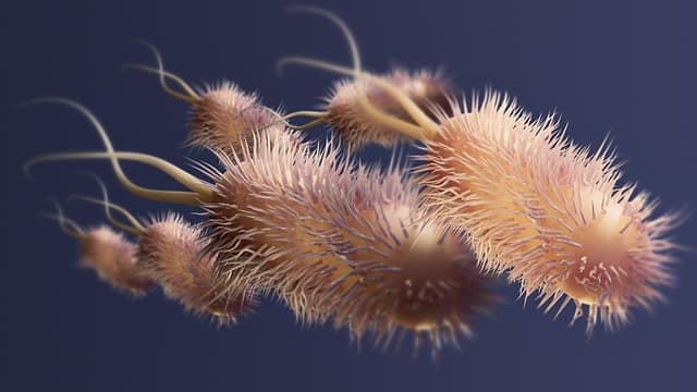 생태계 복원 현장에서 곤충-미생물 관계가 갖는 의미와 실천 전략