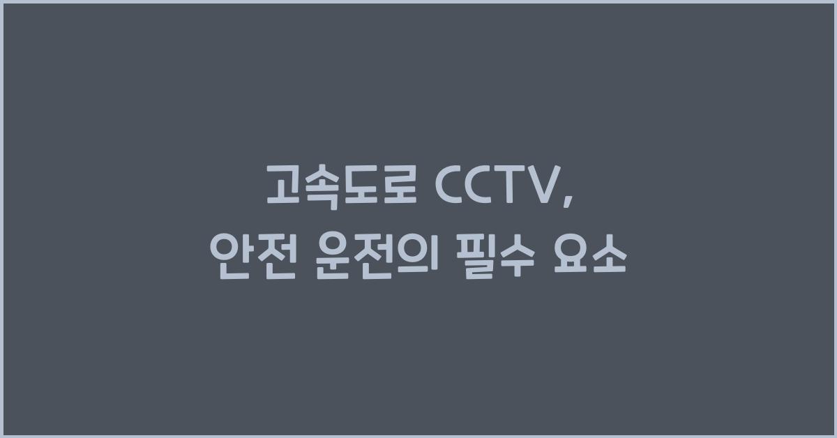 고속도로 cctv