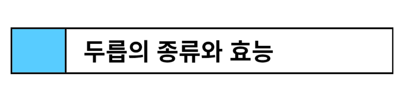 두릅 종류