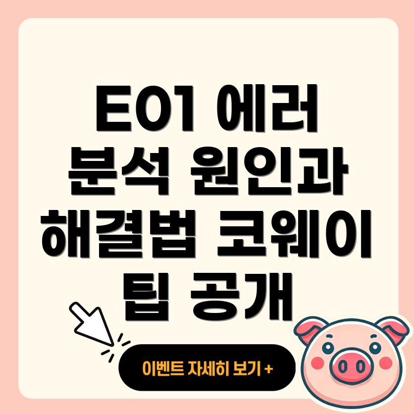 E01 에러 코드