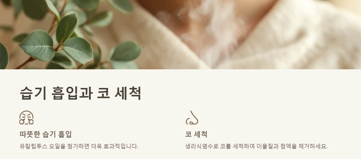 코막힘 원인 빨리 낫는 법