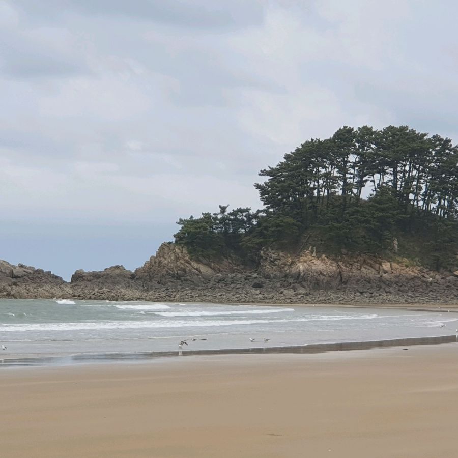 학암포해수욕장