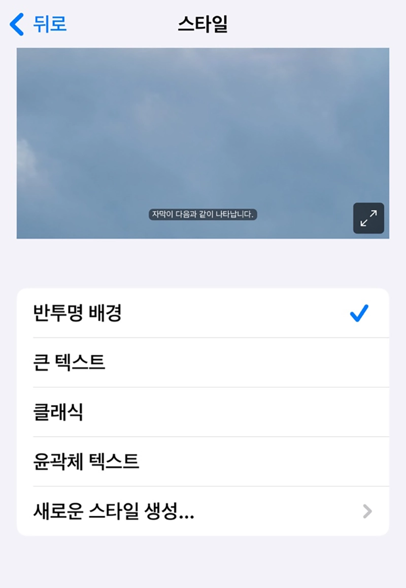 자막-설정