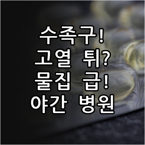 수족구 고열과 물집 금천구 야간 진료..
