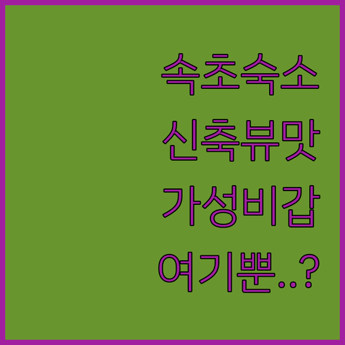 속초 숙소 베스트 5 신축 가성비 오..