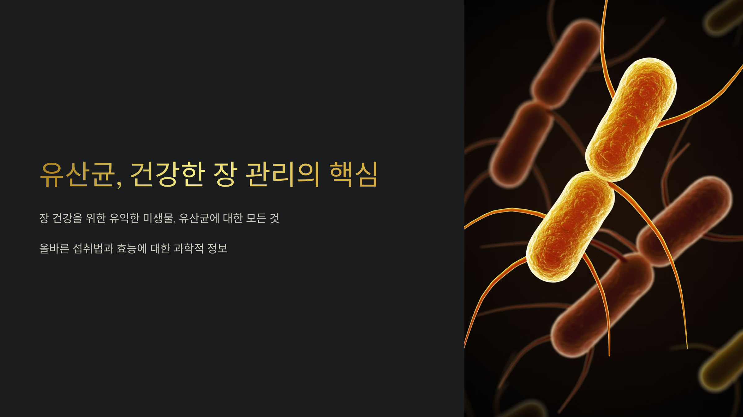 유산균, 건강한 장 관리의 핵심