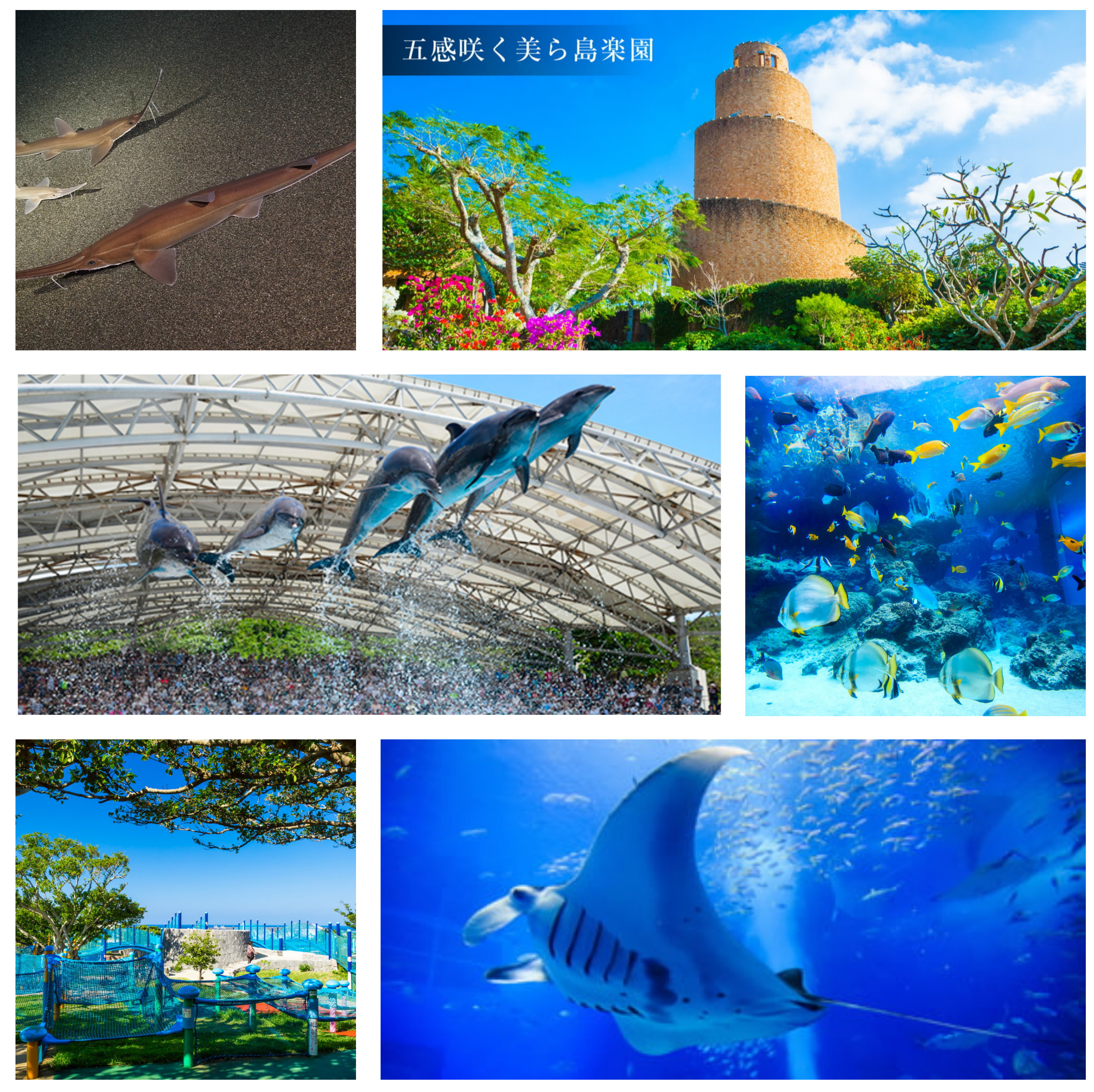 Churaumi Aquarium