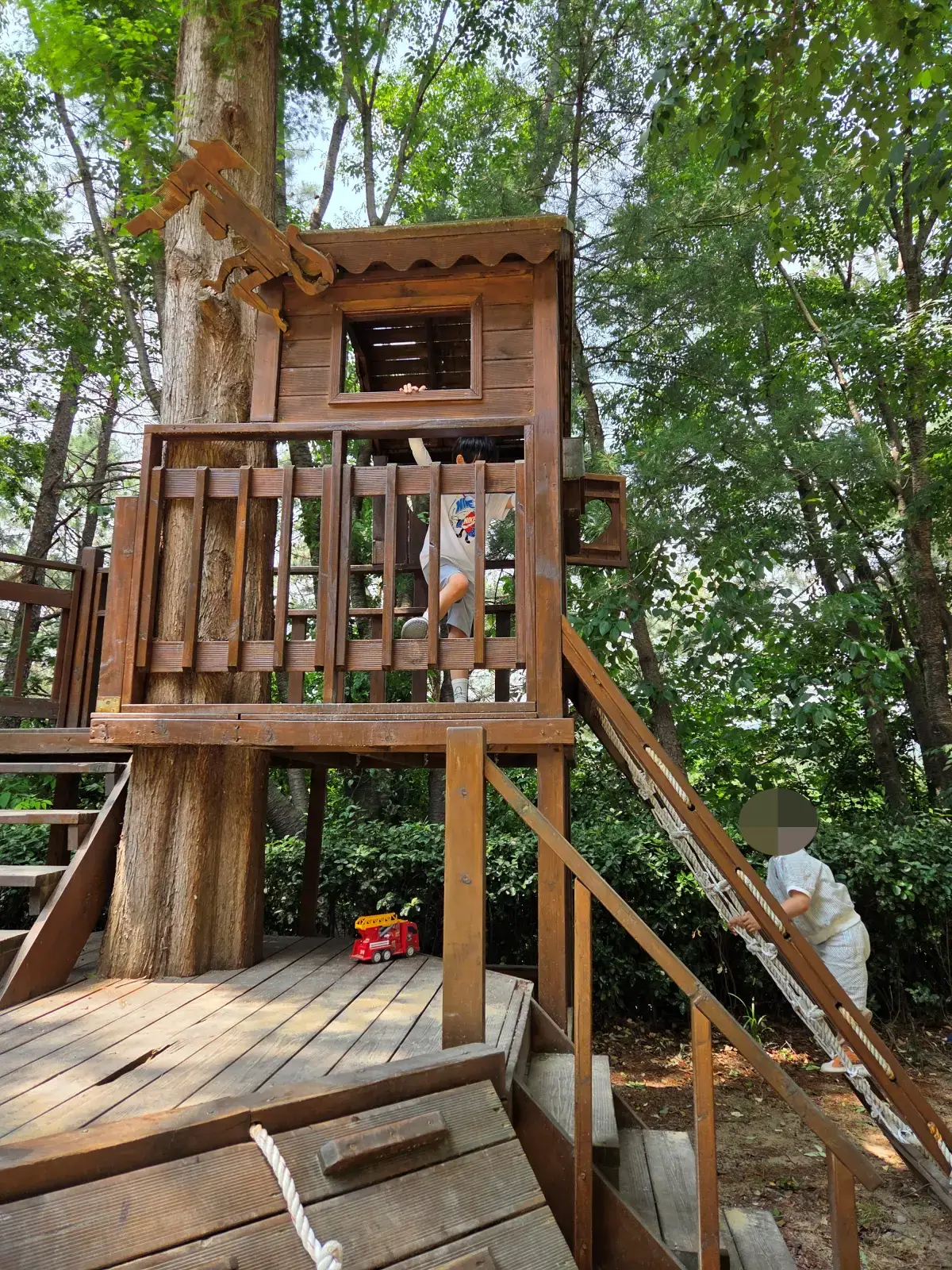 트리하우스 이미지 02