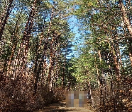 국내 온천 호텔 추천 BEST 3