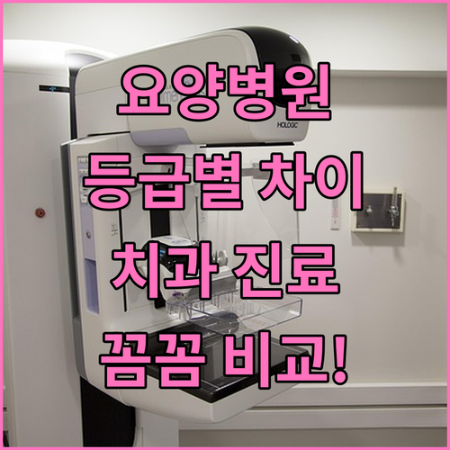 요양병원 등급별 치과 진료 서비스 차