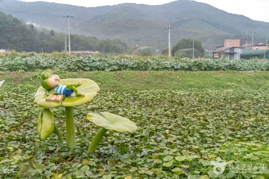 내동마을 연꽃단지