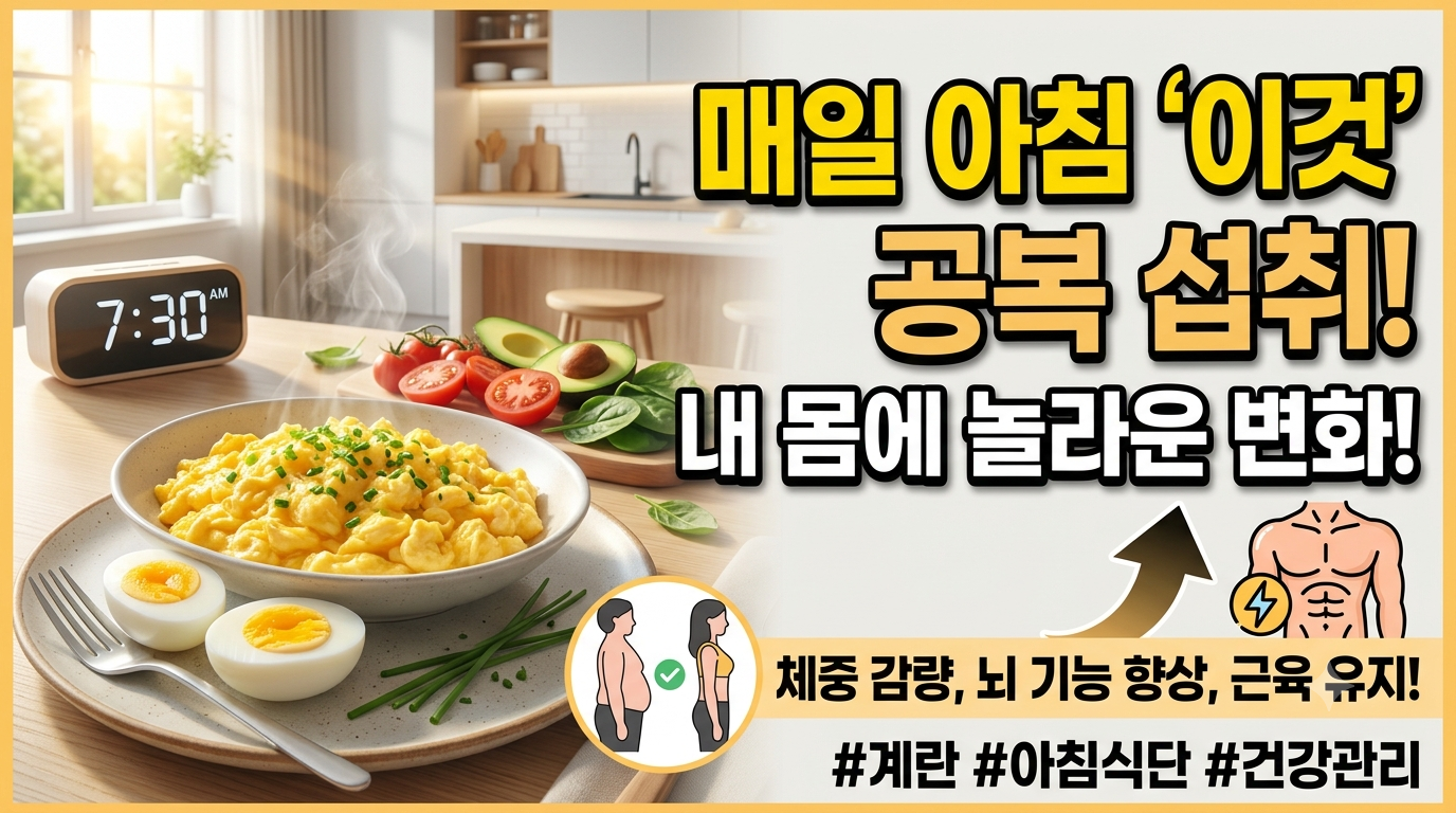 계란-공복에-섭취