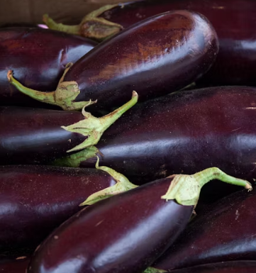 가지 효능 놀라운 9가지 부작용 고르는법 칼로리