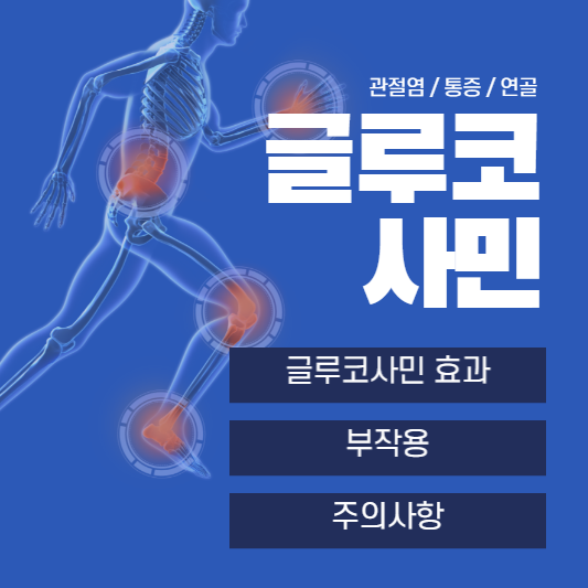 글루코사민 효능