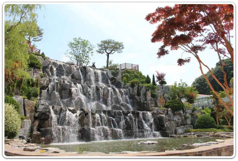 용인-자작나무숲-입장료-운영시간