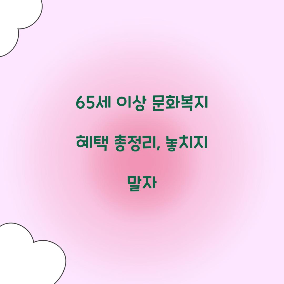 65세 이상 문화복지