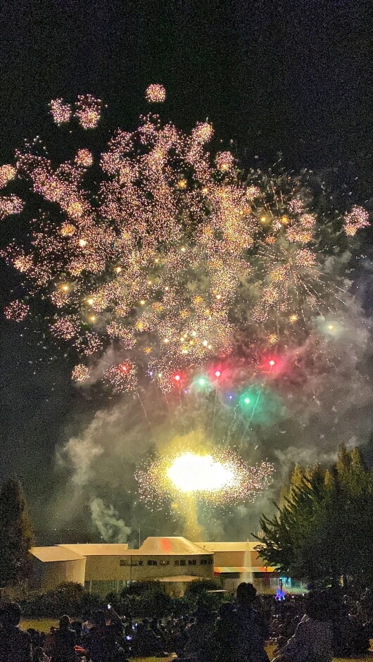 2025 피나클랜드 불꽃축제, 피나클랜드 여름정원 불꽃축제!!! 여름꽃과 빛이 어우러진 낭만의 밤