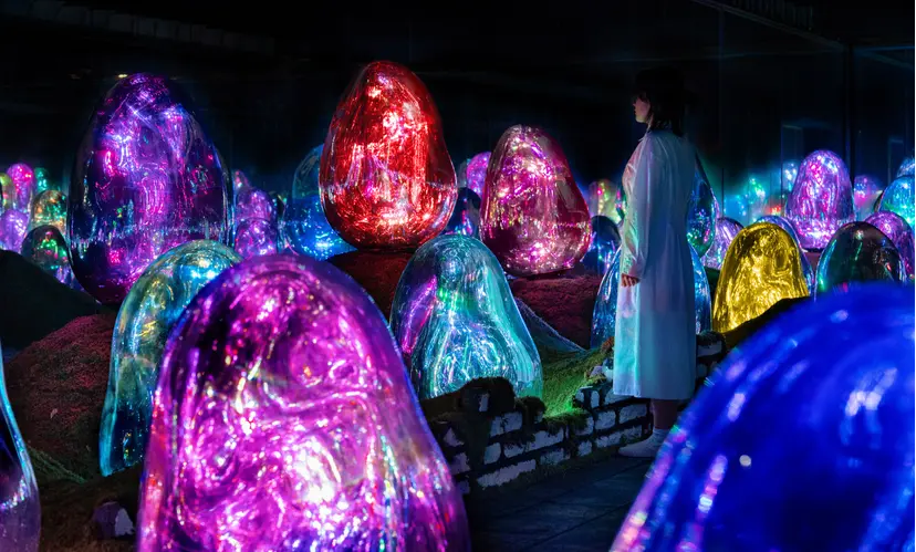 팀랩플래닛 마지막 관람