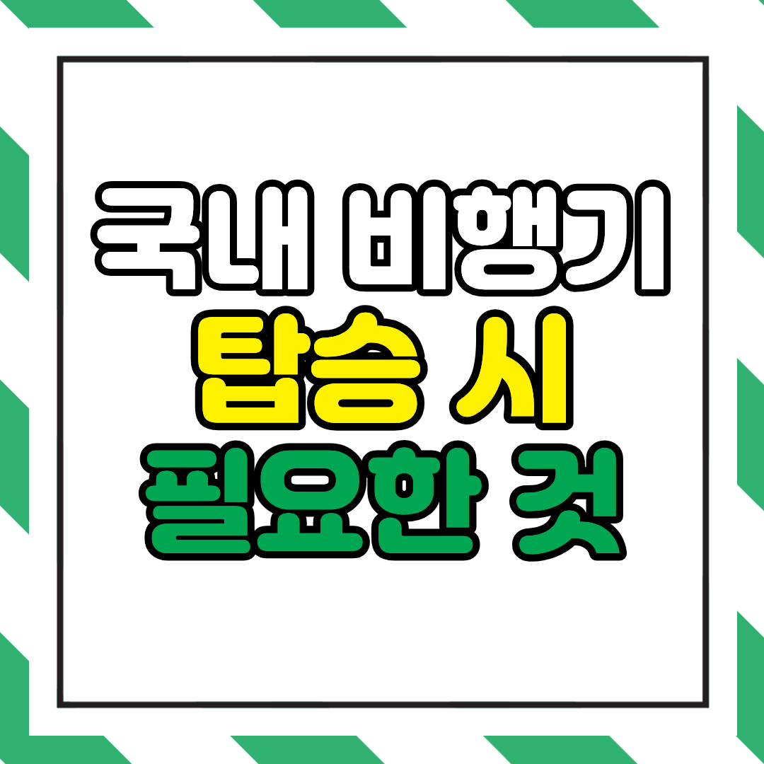 국내 비행기 탑승 시 필요한 것