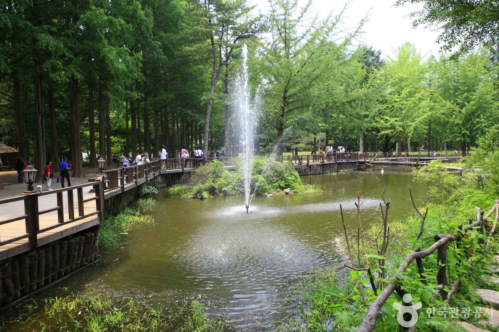 춘천 남이섬