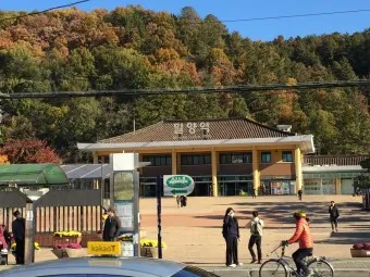 밀양역 ktx 기차시간표 요금표 예매_23