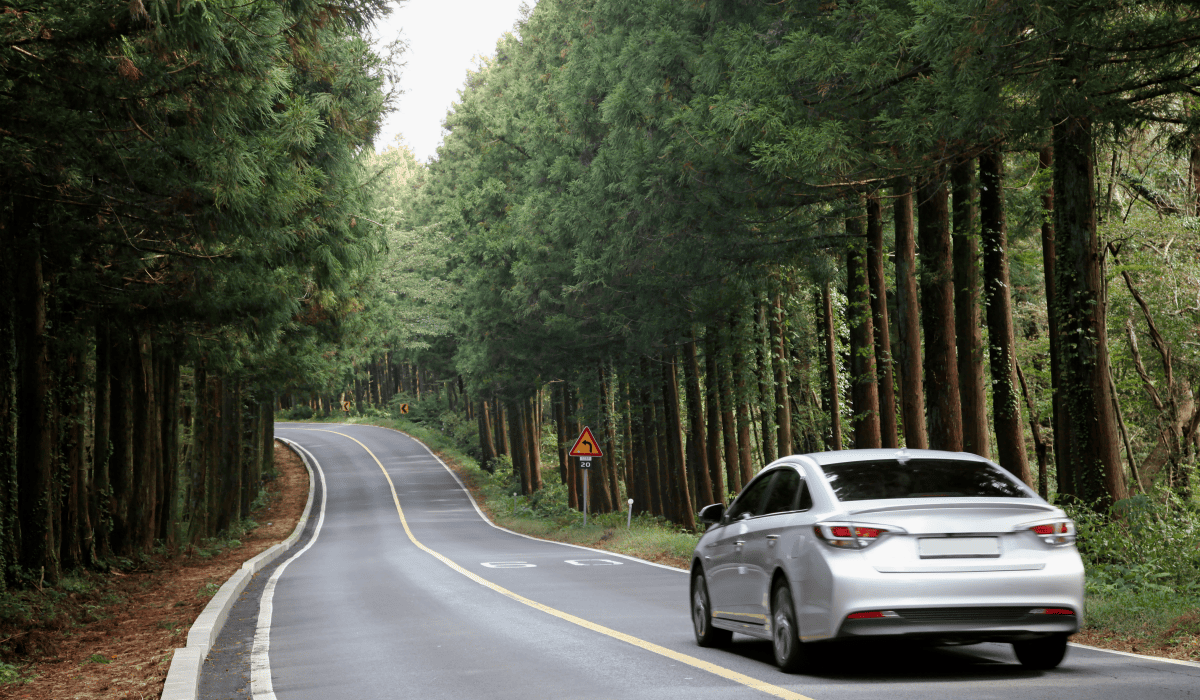 제주렌트카비교사이트_11