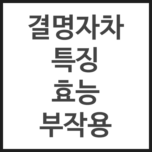 결명자차의-특징,-효능,-부작용
