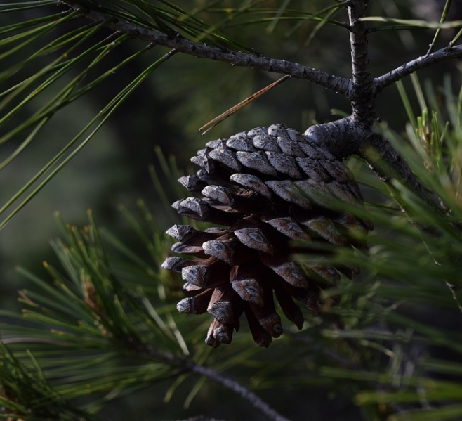 모악산의 자연경관 사진