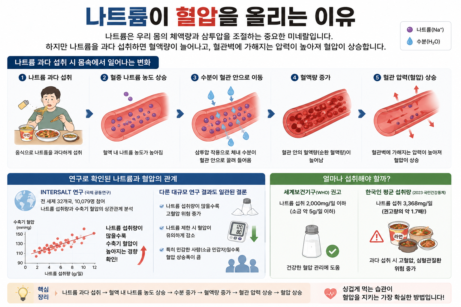나트륨이 혈압을 올리는 이유