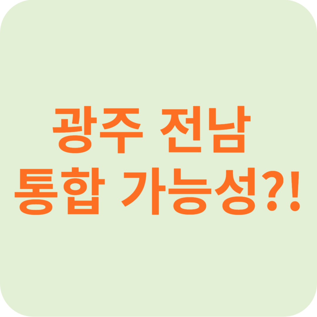 광주 전남 통합