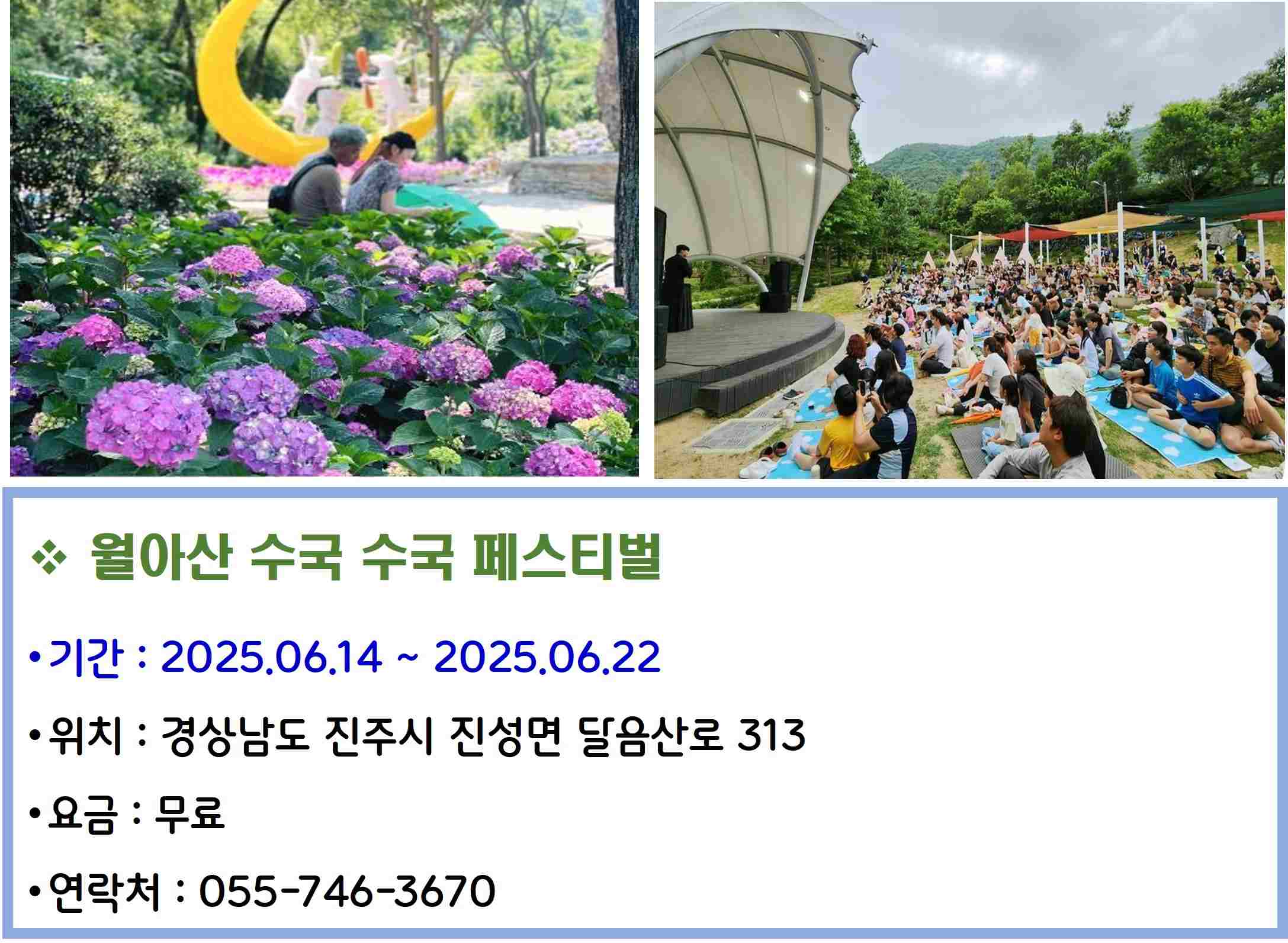 월아산 수국 수국 페스티벌