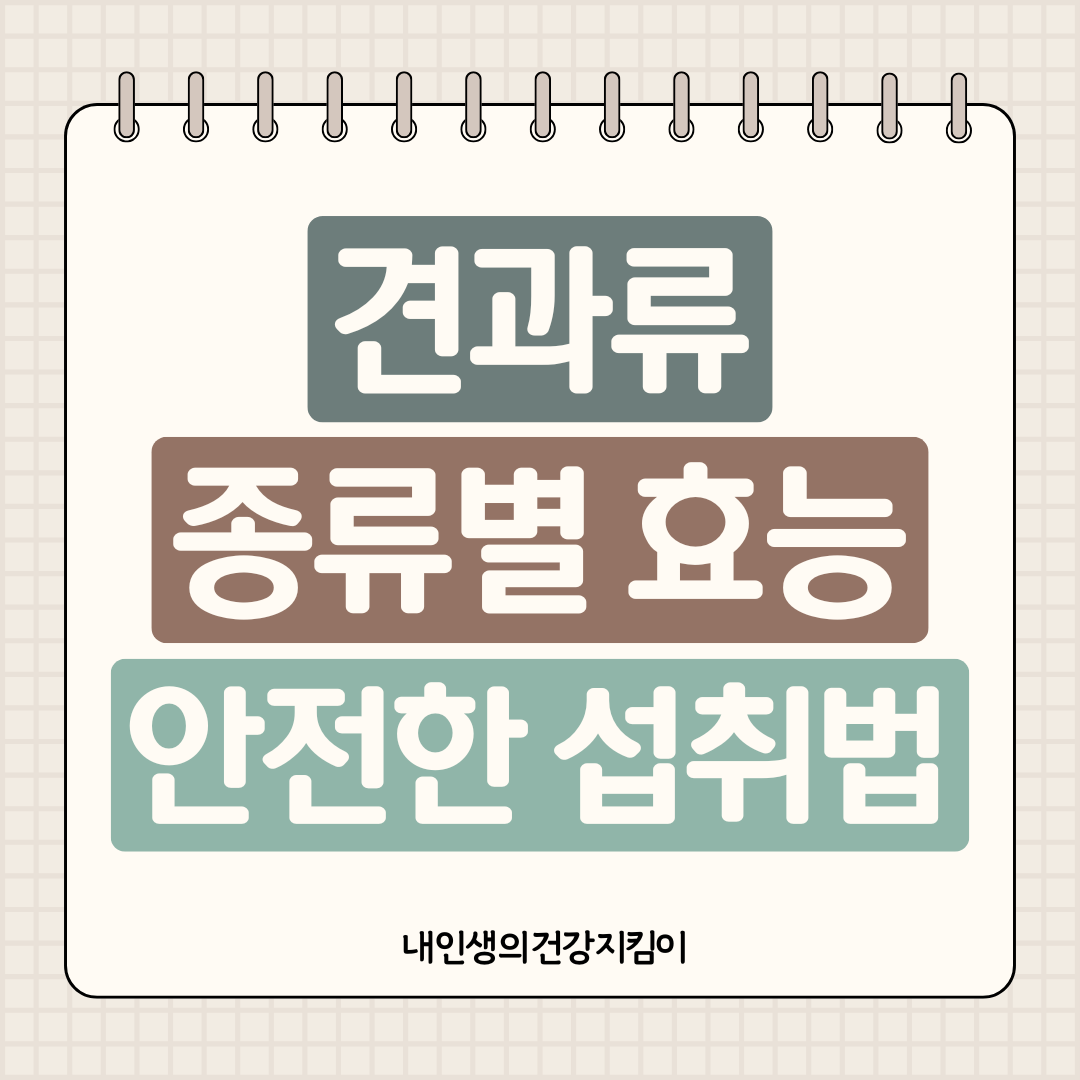 견과류 종류별 효능 차이점 부작용 없는 섭취법