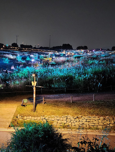 하늘공원-억새축제-서울정원박람회