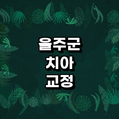 울산 울주군 교정 치과