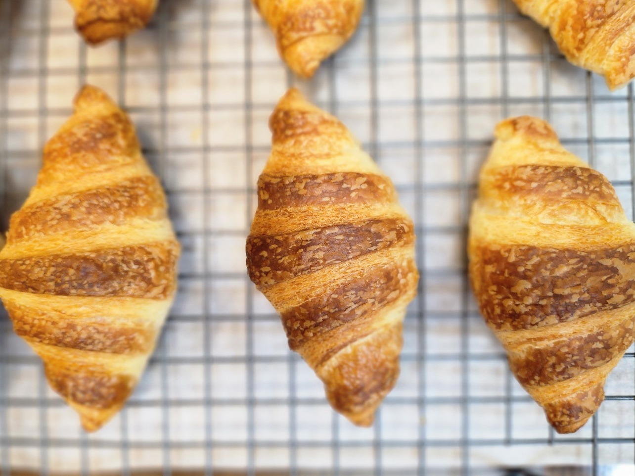 이성당 미니 쌀 크루아상 (생지)