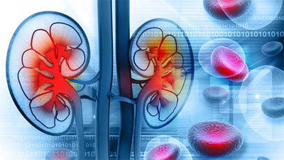 콩팥이 안좋으면 나타나는 증상