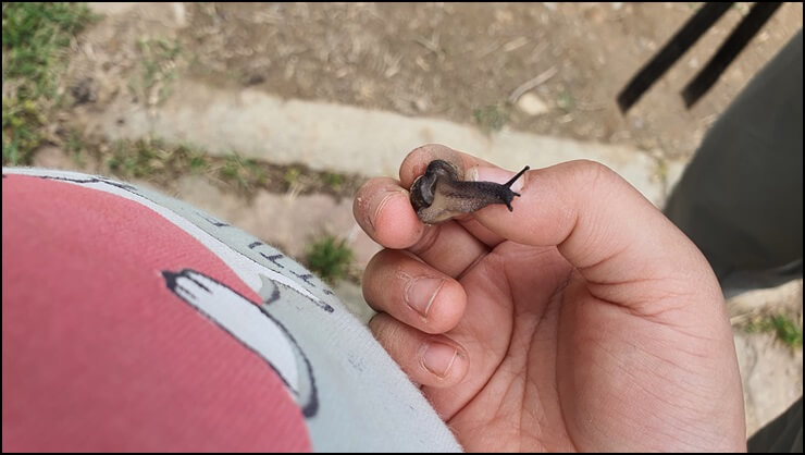 은지손에-있는-달팽이