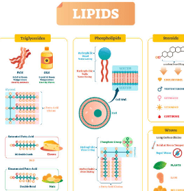 중성지방 낮추는 방법, 중성지방 정상수치