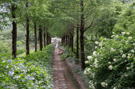 그레이스정원 (경남 고성)