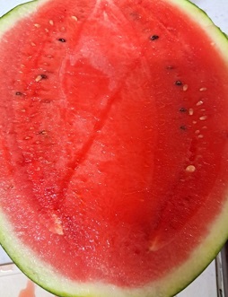 부여굿뜨래수박