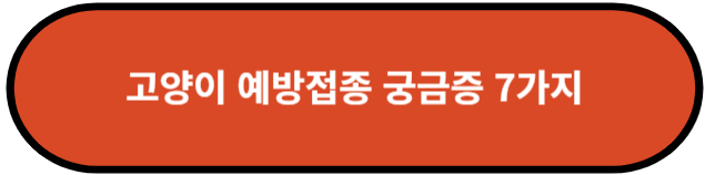 고양이 예방접종 궁금증 7가지